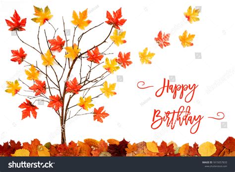 22,178 November Birthday Images, Stock Photos & Vectors | Shutterstock