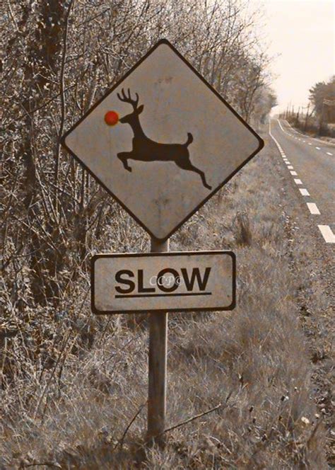 Items similar to Ireland Photography Old Road Signs Funny Deer Sign ...