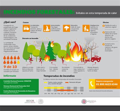 Cinco recomendaciones para evitar incendios forestales | Centro Nacional de Prevención de ...