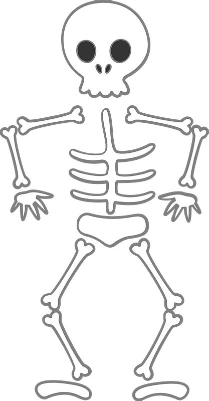 Skeleton clipart. Free download transparent .PNG | Creazilla | Skeleton drawings, Skeleton art ...