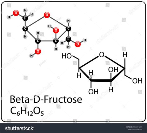 Beta-D-Fructose Molecule Structure - Royalty Free Stock Vector 1358351291 - Avopix.com