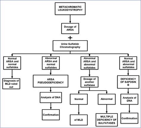 SciELO - Brasil - Metachromatic leukodystrophy: pediatric presentation and the challenges of ...