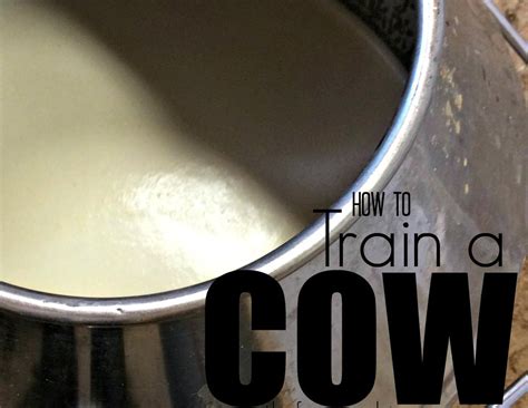 How to Train a Cow – Farm Fresh For Life – Real Food for Health & Wellness