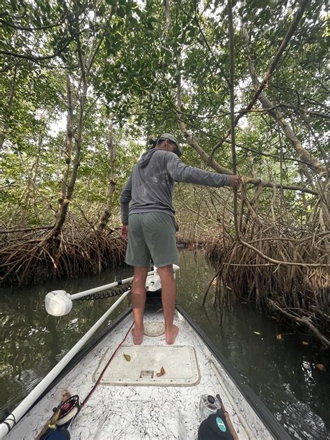 Tarpon Trip — Tall Tails Fly Fishing