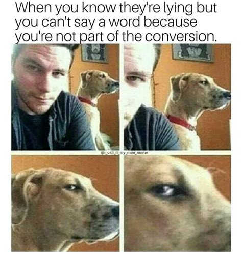 20 Useful Side Eye Memes - SayingImages.com