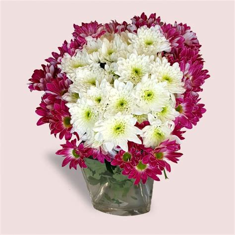 Colorful Chrysanthemum Bouquet