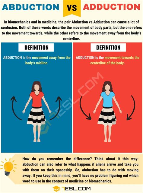 Abduction vs. Adduction: What Is The Difference • 7ESL