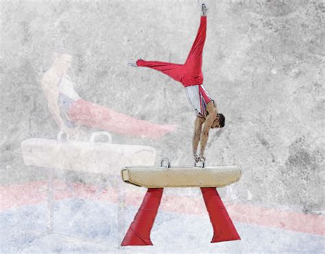 Pommel Horse - Welcome to The Grip International