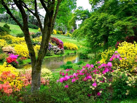 Serene Park Blooms: A Vibrant Nature Escape