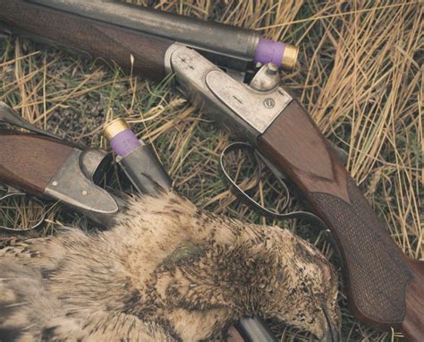 The History and Revival of the 16 Gauge Shotgun - Project Upland