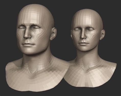 Base Head Meshes for Blender free 3D model | CGTrader