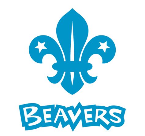 Beaver Scouts (6-8) | Dorset Scouts