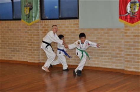 Martial Arts Classes: 79 Reasons Why Kids Love Them - Australia's Youth ...