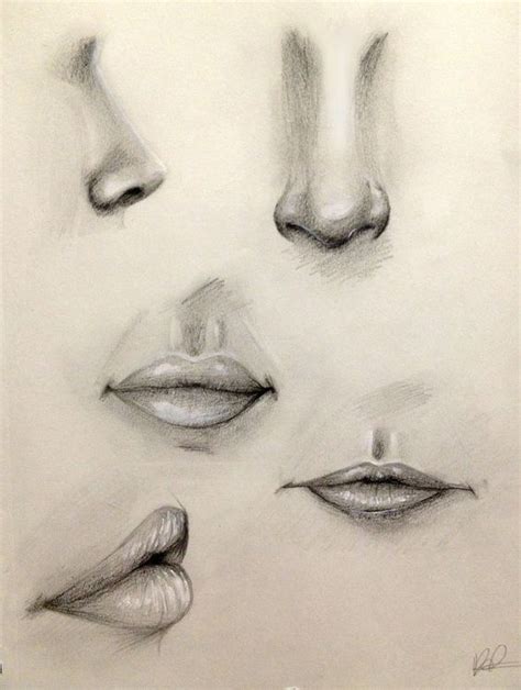 Nose and Lip Practice by Kaspiian.deviantart.com on @DeviantArt | Sketch nose, Lips drawing ...