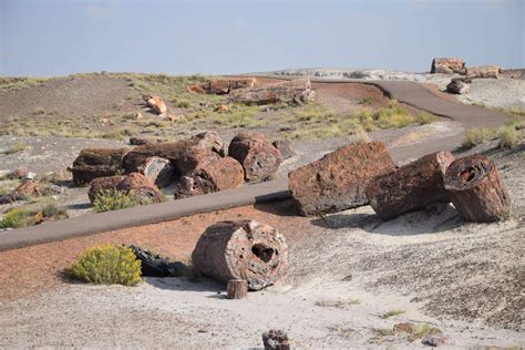 The Best 24-Hour Itinerary for Petrified Forest - A Couple Days Travel