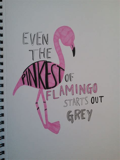 even the pinkest of flamingo quote with hand drawn lettering | Flamingos quote, Flamingo, Words