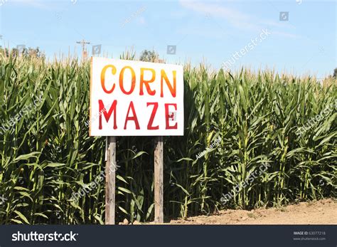 Corn Maze Sign On Autumn Cornfield Stock Photo 63077218 - Shutterstock