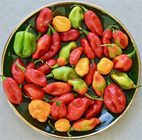 Seasoning peppers - Sun Temple Food