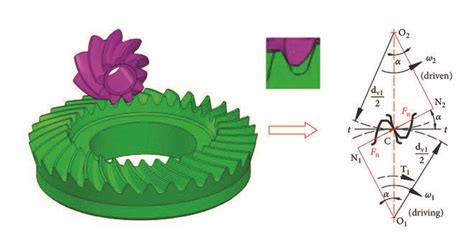 Spiral bevel gear meshing pair transferred to equivalent cylindrical ...