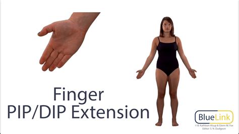 Proximal and Distal Interphalangeal Joints Flexion and Extension - YouTube