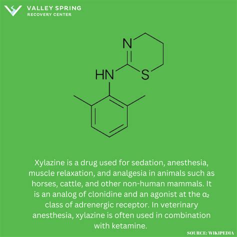 Xylazine Addiction: Definition, Symptoms, Causes, Effects And Treatment