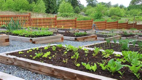 How to Start a Community Garden | TRUiC