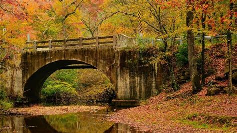 Here's when you can see peak fall colors in Arkansas | KATV