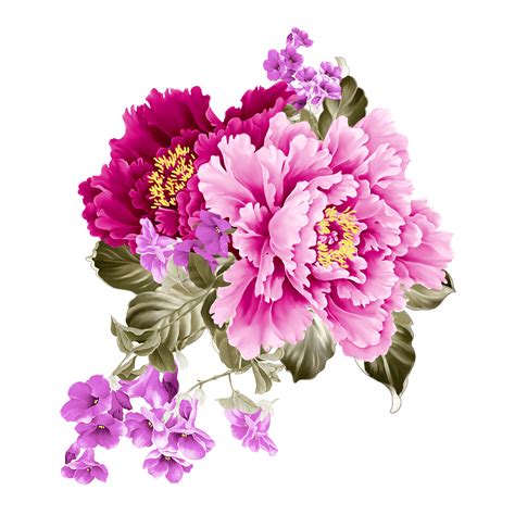 Peonies Vector Png