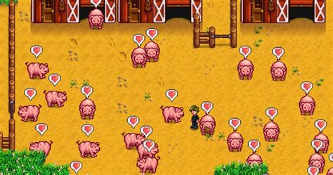 Every Animal Product Ranked By Profit In Stardew Valley