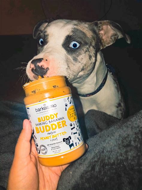 BUDDY BUDDER | Dog Peanut Butter 👅 in 2020 | Peanut butter for dogs, Peanut butter dog treats ...