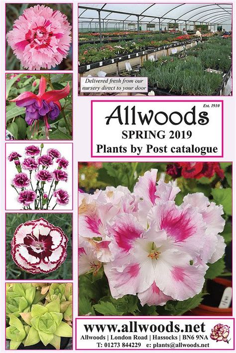 Allwoods | Hassocks | Scented Garden Pinks | Plants by post, Plants ...