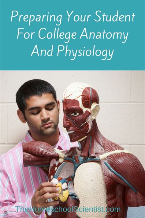 Preparing For College Anatomy And Physiology - The Homeschool Scientist