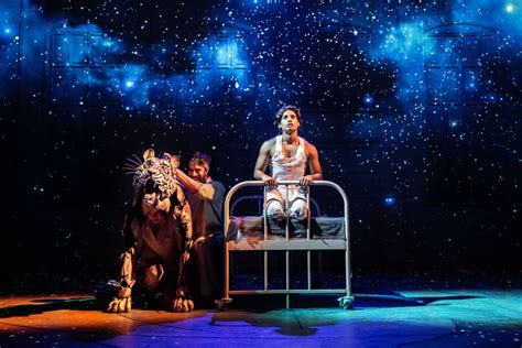 The spectacular Life Of Pi comes to The Lowry for a stunning winter run