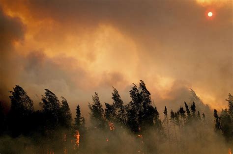 Wildfires in the West - CBS News