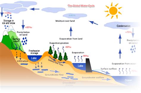 The Global Water Cycle - LOVE SCINCE