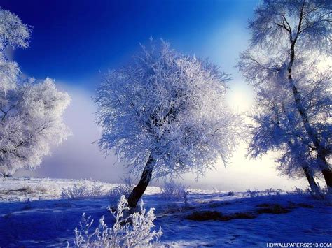 Winter Desktop Wallpaper | High Definition Wallpapers, High Definition Backgrounds