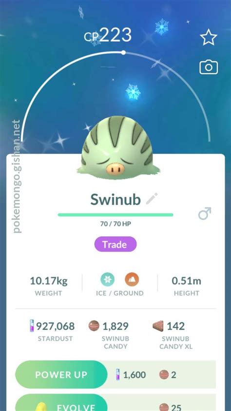 Shiny Swinub - Pokemon Go