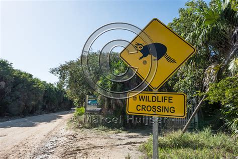 Marcel Huijser Photography | Road ecology blog: Wildlife warning sign for raccoons, Sian Ka'an ...