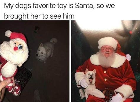 17 of The Best Animal Christmas Memes to Get You Into The Christmas ...