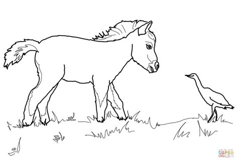 Miniature Horse Foal and Bird coloring page | Free Printable Coloring Pages