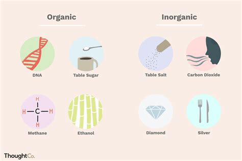 Comprendi la differenza tra organico e inorganico