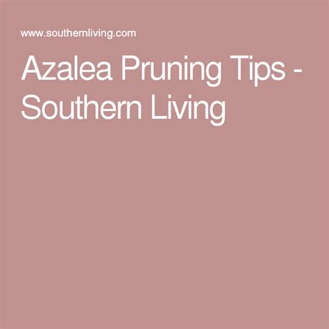 The Complete Guide To Pruning Azaleas | Azaleas, Pruning azaleas, Prune