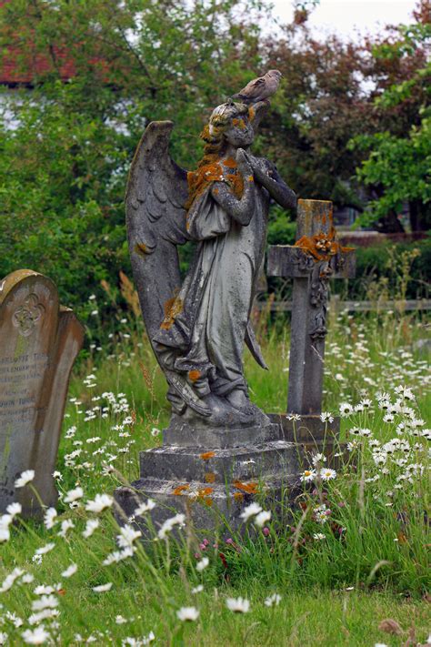 Angel Statue Free Stock Photo - Public Domain Pictures