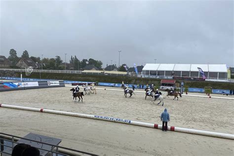 Federazione Italiana Sport Equestri - World Cup Horseball. Azzurri conquistano cinque medaglie a ...
