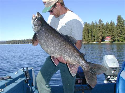 Payette Lake's fishing is at a crossroads, which way do anglers want it ...