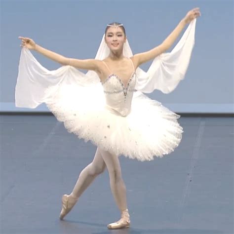 New Adult Swan Lake Ballet Dance Costumes Professional Platter Tutu ...