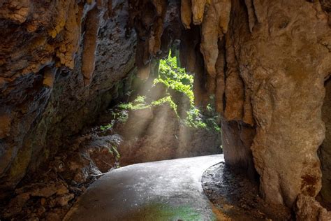 Explore the Río Camuy Cave Park | Discover Puerto Rico