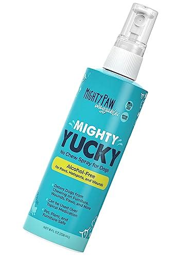 Best Spray to Stop Dog Licking Paws: 5 Expert Choices