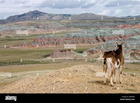 The Red Desert, Wyoming Stock Photo - Alamy