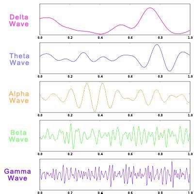 [WEB SITE] Different Types of Brain Waves: Delta, Theta, Alpha, Beta, Gamma | TBI Rehabilitation